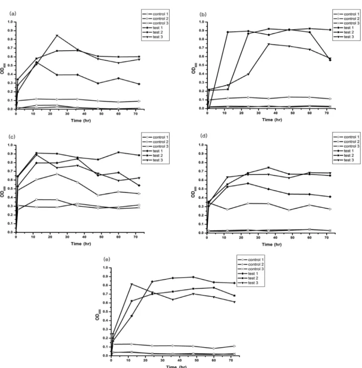 Fig.  7.  Temporal  variation  of  OD 600   in  the  bottle  test  employing  different  types  of  minerals  along  with  their  concentrations  ((a)  25  mM  CaCl 2 ,  (b)  50  mM  CaCl 2 ,  (c)  75  mM  CaCl 2 ,  (d)  25  mM  MgCl 2 ,  (e)  25  mM  CaCl