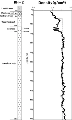 Fig. 5. Comparison of schematic geologic profile (left) and density profile (right) obtained from BH-2