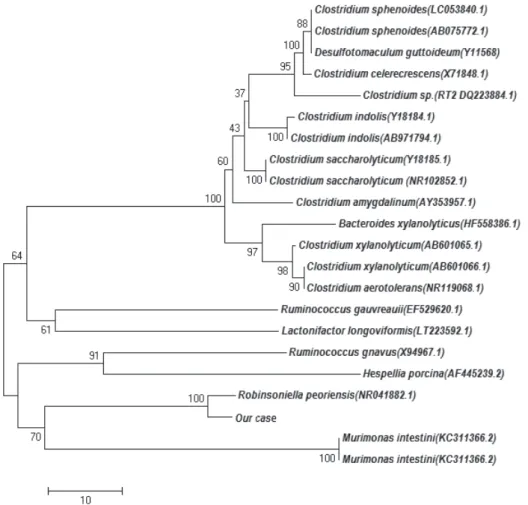 Fig. 2. Unrooted neighbor-joining phylogenetic tree based on 16S rRNA sequences of Robinsoniella peoriensis and 21 other similar organ- organ-isms.