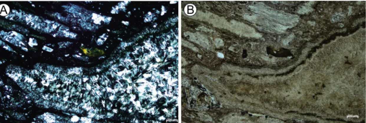 Fig. 5. (A) Photomicrographs of pumice structures defined by outer microcrystalline axiolitic intergrowth, and inner coarser-grained spherulitic crystallization (light areas) in densely welded tuff with crossed nicols; (B) Same as above under plane light.