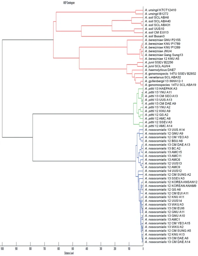 Fig. 1. Dendrogram of the protein signatures of the updated 63 Acinetobacter strains, derived from matrix-assisted laser desorption ioniza- ioniza-tion-time of flight mass spectrometry (MALDI-TOF-MS) data