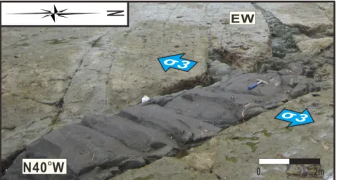 Fig.  3.  Small  scale  example  of  intrusion  into  pre-existing  fractures  with  oblique  opening