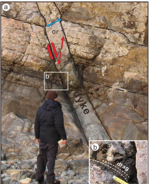 Fig.  4.  a)  Four  dimensional  problem?  Dyke  opens  pre-existing  normal  fault  with  lateral  and  vertical  (reverse)  shearing