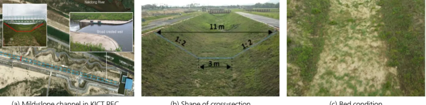 Fig. 3. Measurement verticals for ADCP and ADV in the test section, where circular dots indicate ADV measurement points