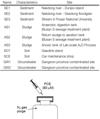Fig.  1.  Schematic  diagram  of  PCE  dechlorination  activity  test  using  bacterial  cultures  with  various  inoculum  sources.