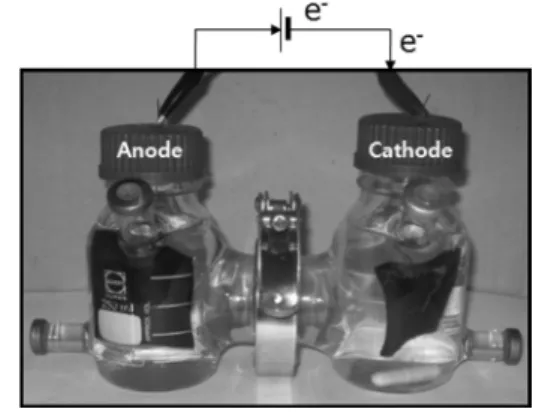 Fig.  2.  A  photograph  of  bioelectrochemical  system  used  in  this  study.