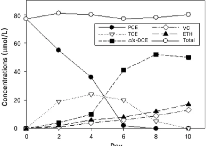 Fig.  4.  Time  course  of  PCE  dechlorination  by  the  enrichment  culture  from  the  sediment  sample  (SE2).