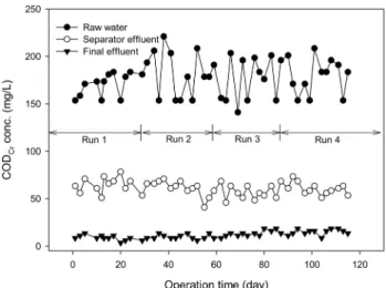 Fig.  2.  COD Cr   concentration  of  influent,  separator  and  effluent  at  different  operation  modes.