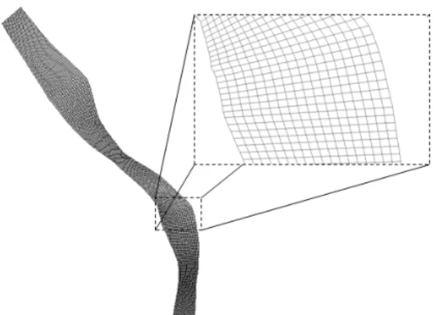 Fig. 2. Example of Grid generation along the curvilinear coordinate  system