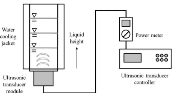 Fig.  1.  Schematic  diagram  of  the  experimental  setup.