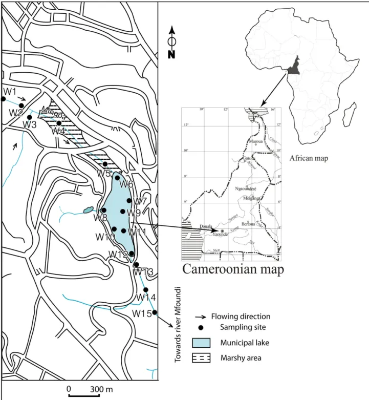 Fig. 1. Locations of 15 water sampling points in this study.