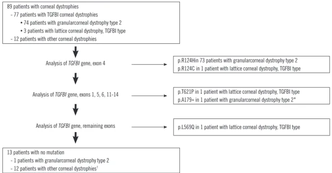 Fig. 1. Flow chart of the TGFBI mutation analysis protocol and the results of the 89 patients included in the present study.