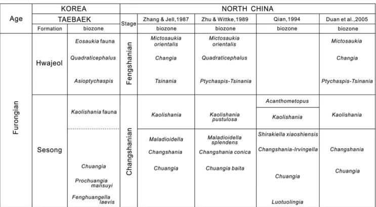 Fig. 3. Correlation of the trilobite biozones of the Taebaek Group with those of North China