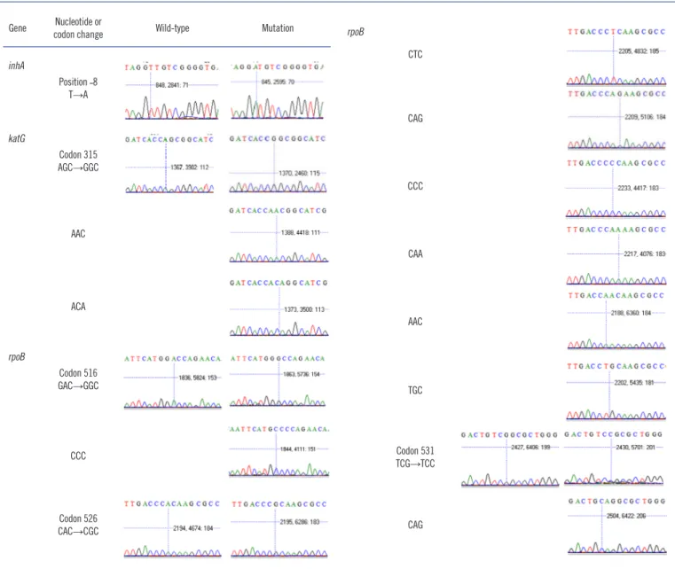 Fig. 1. Sequencing chromatograms for indeterminate results of TAG-ASPE assay. It is not shown the sequencing chromatograms for inhA  position ˗8 T→G and embB codon 531 TCG→ACG.