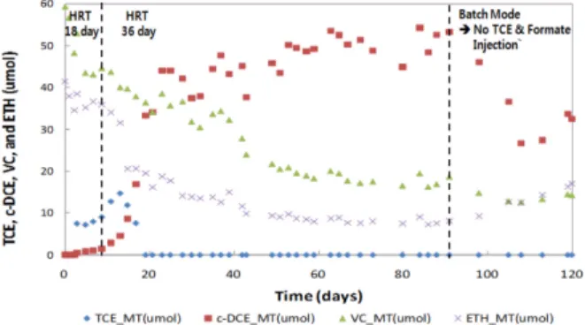 Fig. 6. Monitoring H 2  concentration in 1.28 L-anaerobic continuos flow stirred reactors containing cell-attached carriers.