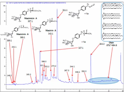 Fig. 3. The schematic diagram for MOM-Bentonite manufacturing process.