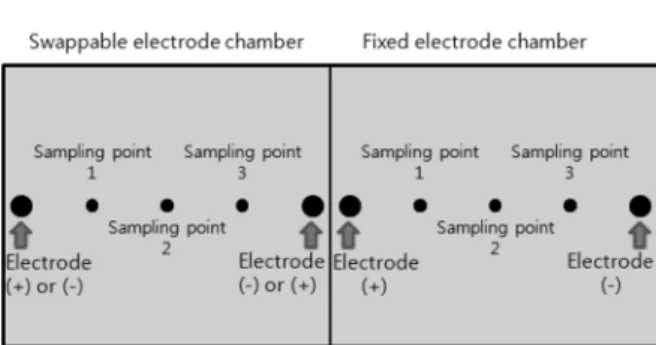 Fig. 2. Sampling points of electrokinetic chamber.