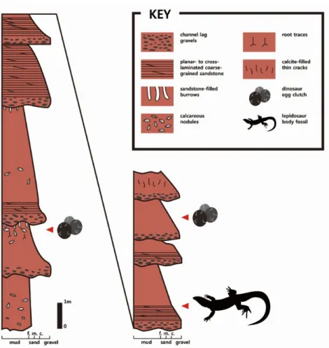 Fig. 2. Stratigraphic section of Boseong dinosaur egg site (site1). (Modified from Paik et al., 2004)