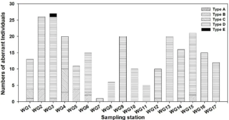 Fig. 4. Aberrant types of Dictyocha messanensis forma spinosa (Type A: aberrant type with open basal ring, Type B: 