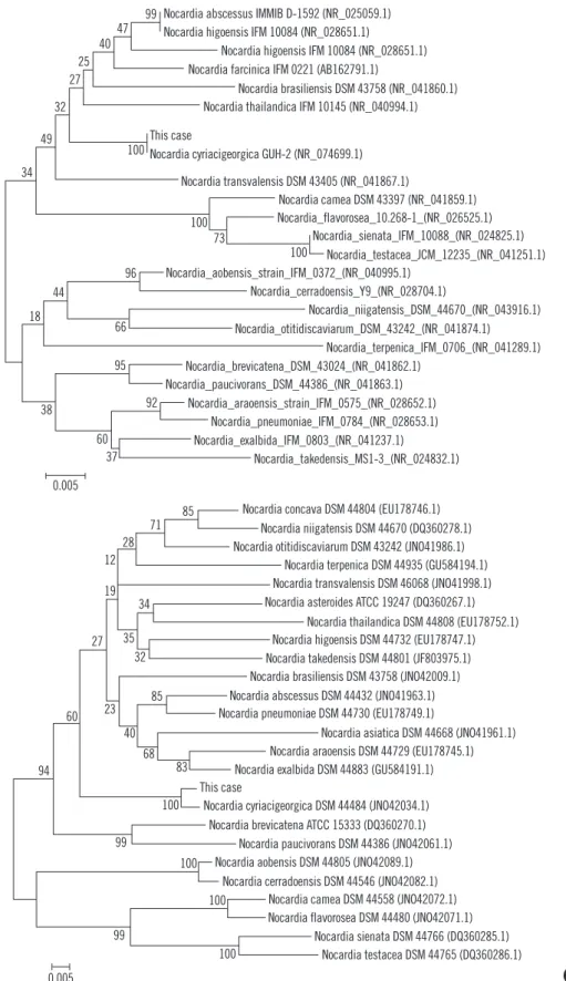 Fig. 3. Molecular phylogenetic tree constructed by the neighbor-joining method by using (A)  16s rRNA and (B) secA1 gene sequences from  the N