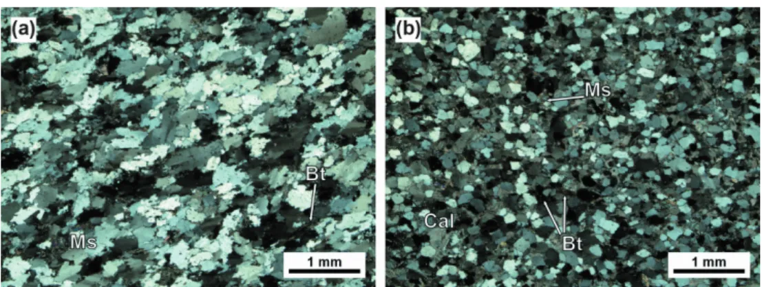 Fig. 4. Cathodoluminescence images of zircon from (a) sample YH03, and (b) sample YH06
