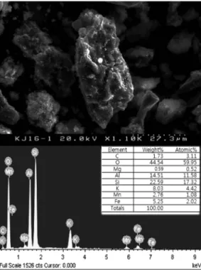 Fig. 12. SEM images of detrital grains composed of rock- rock-forming minerals (sample KJ-20)