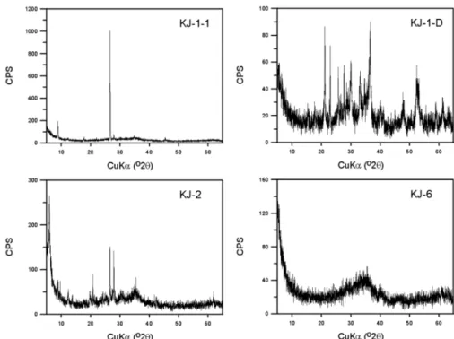 Fig. 3. XRD patterns of representative clogging materials. KJ-1-1: goethite, muscovite; KJ-1-D: Fe-Mn hydroxide, goethite;