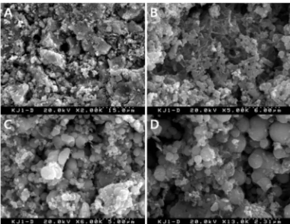 Fig. 4. SEM images of sample KJ-1-D. (A) Rock fragment (B)~(D) Abundant Fe-Mn hydroxide spherules indicating an amorphous phase.