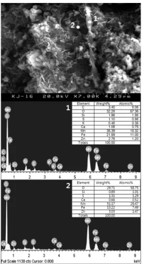 Fig. 9. SEM image and EDS patterns of Gallionella and iron hydroxides (sample KJ-16). Numbers denote points analyzed