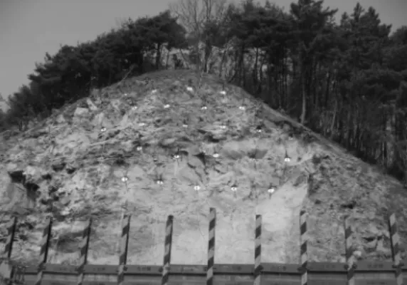 Fig. 14. Collapsed section.