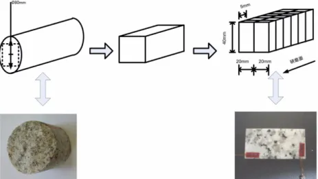 Fig. 3. Schematic figure of the specimen and observation area.