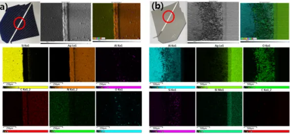 Fig. 1. XRD and XRF analysis results.