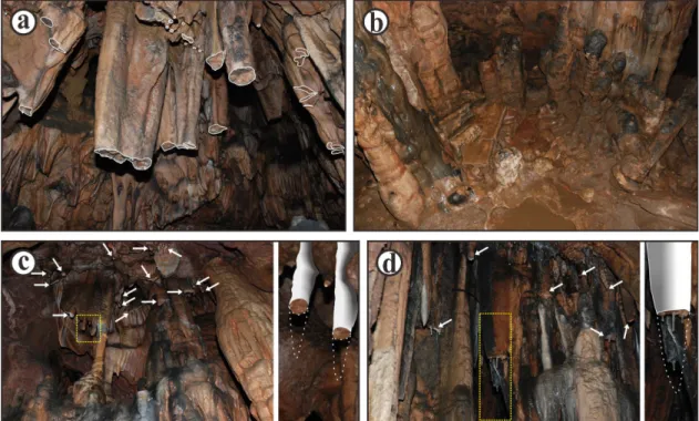 Fig. 5. Characteristics of damaged stalactites. Tips are cut sub-horizontally (a) and are scattered along the bottom of the cave (b)