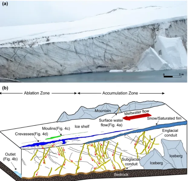 Fig. 3. Theoretical longitudinal glacier profile showing the important hydrological components (modified from  Röthlisberger and Lang, 1987; Fountain and Walder, 1998; Mernild et al., 2006).