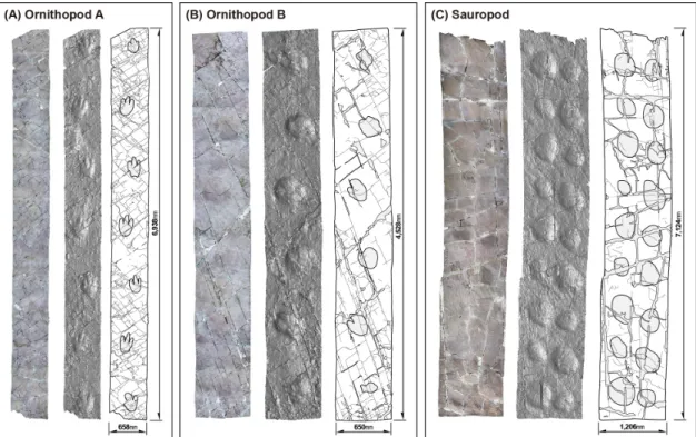 Fig. 2. Processes of the three-dimensional surface depth modeling and calculation method of the surface depth.