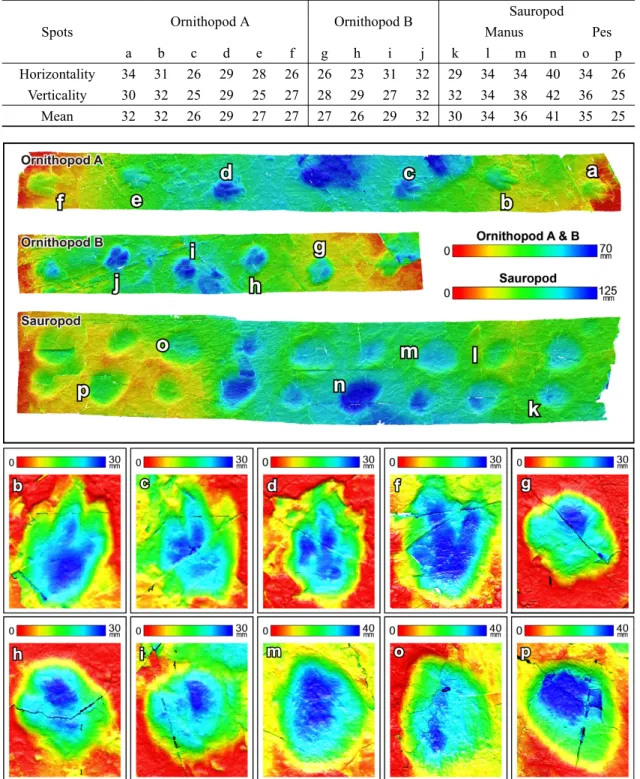 Fig. 5. Completion of the surface depth modeling of the Daechiri dnosaur trackways in Haman