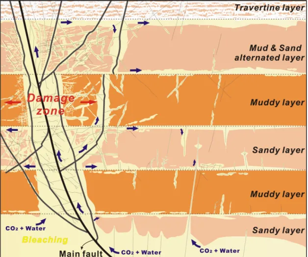 Fig. 10. Simple conceptual schematic diagram of bleaching patterns around faults and fractures