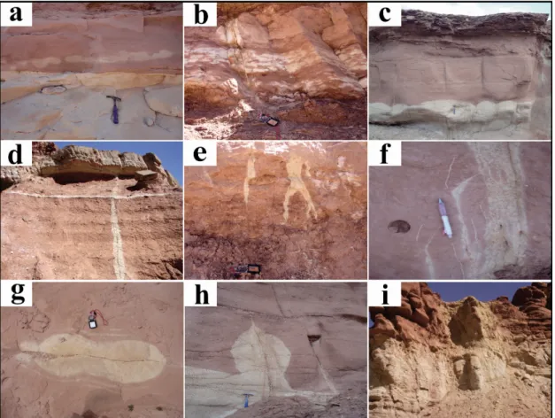 Fig. 5. Photographs of various bleaching patterns produced by differences in bedrock lithology and fracture patterns.