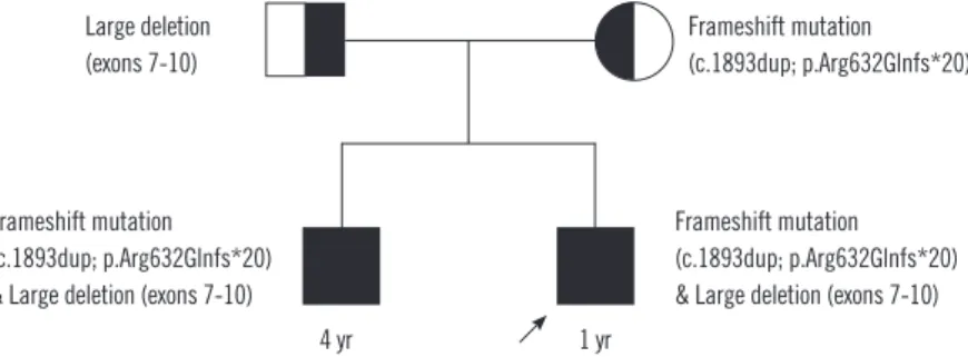 Fig. 1. Family pedigree. The older brother with a history of syncope and long QTc carries the same mutations as the proband (marked with  arrow), i.e., large exon deletion and frameshift sequence mutation