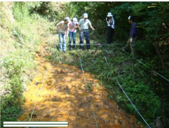 Fig. 3. Photograph showing acid mine drainage at  Jeonju Il mine.2004; Jonsson et al., 2005).이에 본 연구의 목적은 전주일광산 산성광산배수와 침전물의 미생물 종 다양성, 지화학적 및 광물학적 특성을 분석하여 철/황산화미생물이 산성광산배수 내 침전물 형성에 미치는 영향을 연구하고자 한다.2
