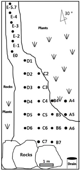 Fig. 4. Schematic diagram showing the sampling sites at the acid mine drainage and precipitates at Jeonju Il mine ( : plants)