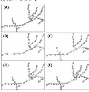 Fig.  1.  Visualization  of  vector  layer  using  LOD:  (A)  Original  vector  data,  and  (B),  (C),  (D),  (E):  Vector  data  of  zoom  level  12,    zoom  level  13,    zoom  level  14,  and  zoom  level  15,  respectively.