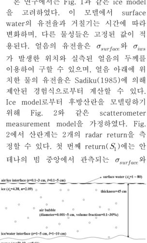 Fig.  1  The  ice  model  used  in  this  study. 