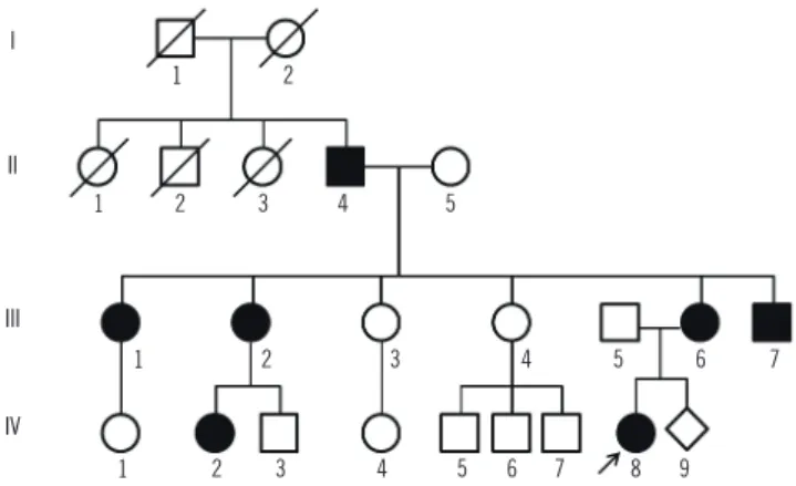 Fig. 1. Pedigree of the patient based on the clinical features (A). 