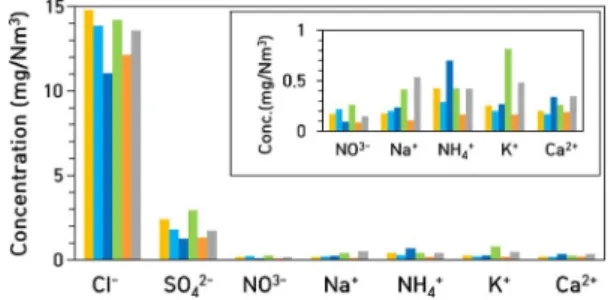 Fig. 8. Average concentrations of the ionic components of  CPM.