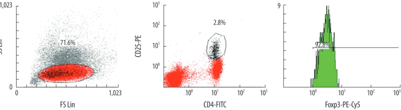 Fig. 1. Analysis of Tregs using flow cytometry. Mononuclear cells were stained with CD4-FITC, CD25-PE, and FoxP3-PE-Cy5 antibodies