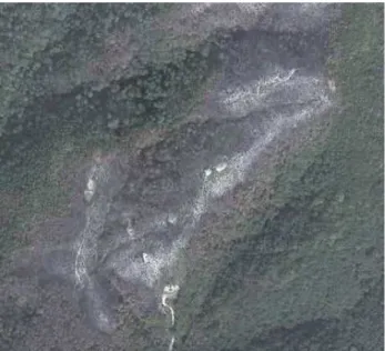 Figure  1.  51cm급  Daum  영상도