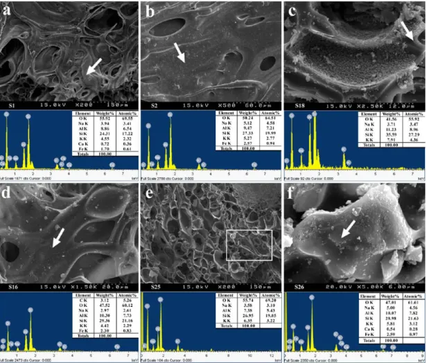 Fig. 8. SEM image (upper) and EDS spectrum (lower). (a) Black pumice (Sample 1) showing smooth wall  and vesicle growth; (b) Brown pumice (Sample 2) with scattering submicron particle on surface; (c) Gray  pumice (Sample 18) attaching dense submicron parti