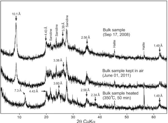 Fig. 2. X-ray diffraction patterns of bulk halloysite samples. Basal reflections of halloysite at 10.1 Å and 3.39 Å of hydrated halloysite were shifted to 7.3 Å and 3.6 Å, respectively, of dehydrated halloysite after heat treatment.