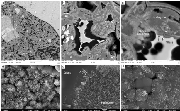 Fig. 4. Scanning electron microscopy of the alteration of trachytic ash. (a) Altered trachytic ash